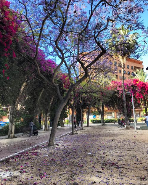 Los fotos de gran tour en segway por la ciudad